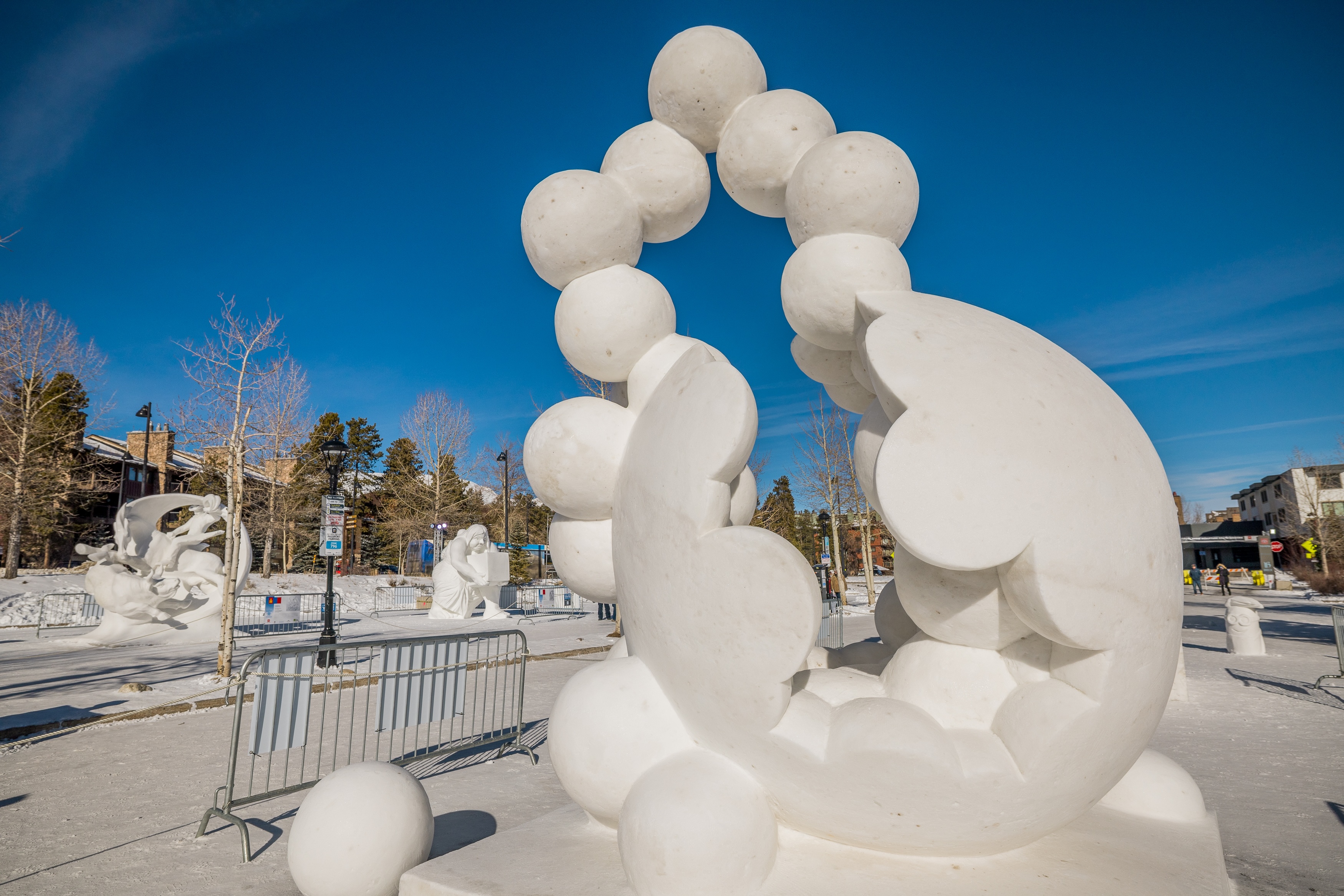 Ice Impressions