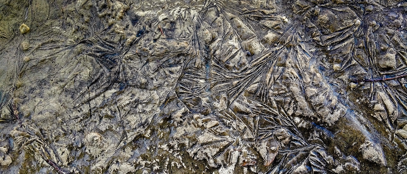 Ice Impressions