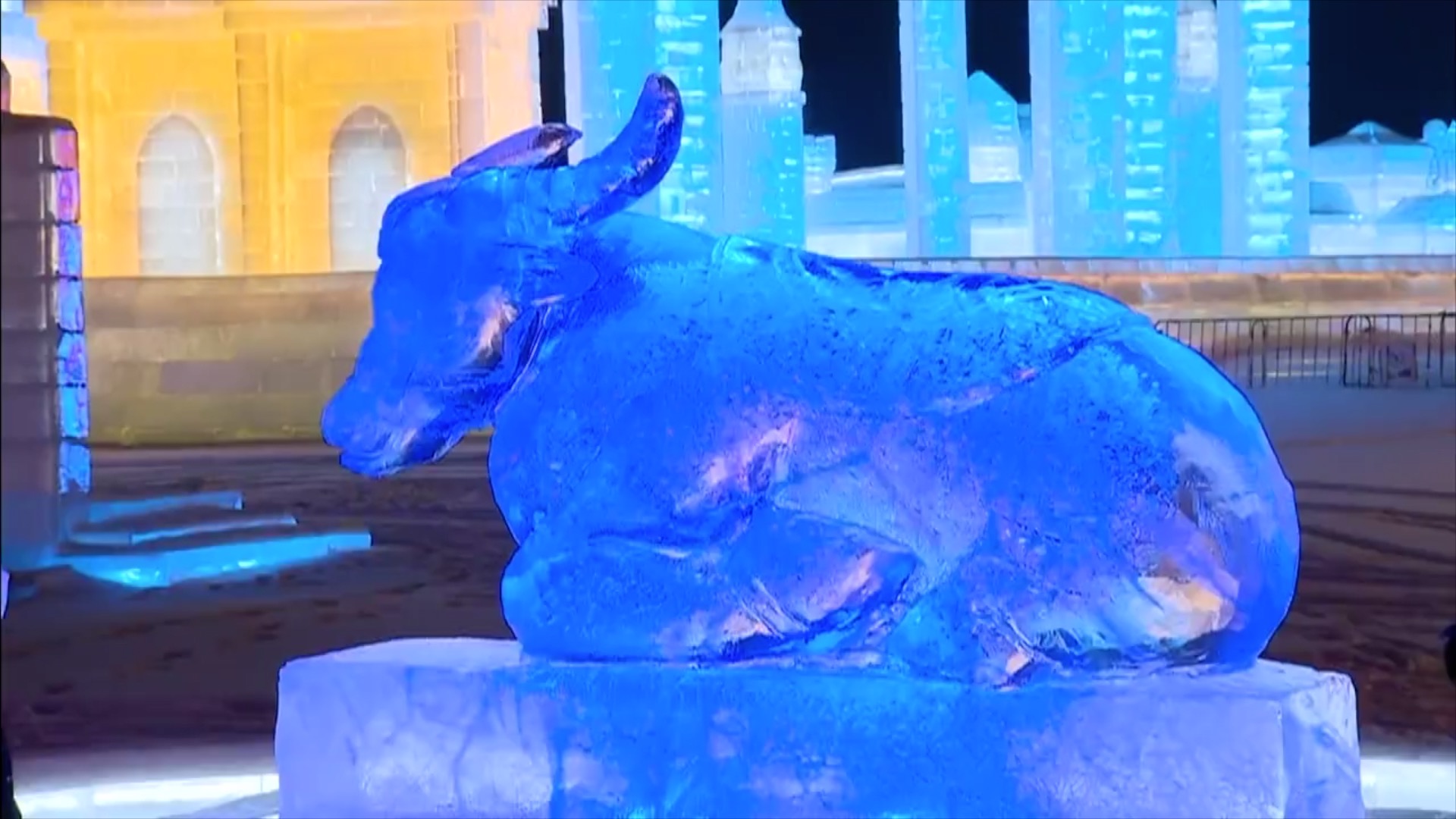 Ice Sculpting Trends