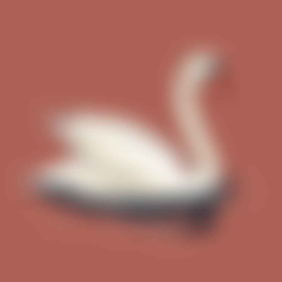 A detailed sketch of a swan on a piece of paper