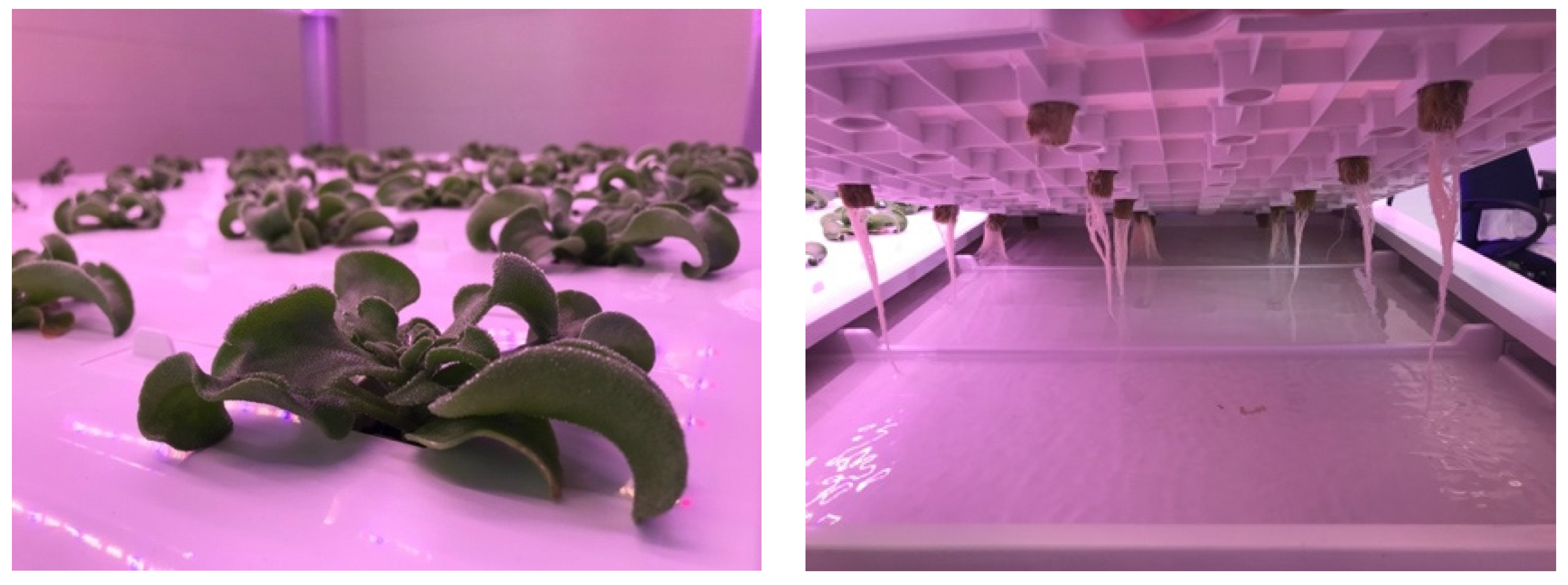 ice factory energy consumption