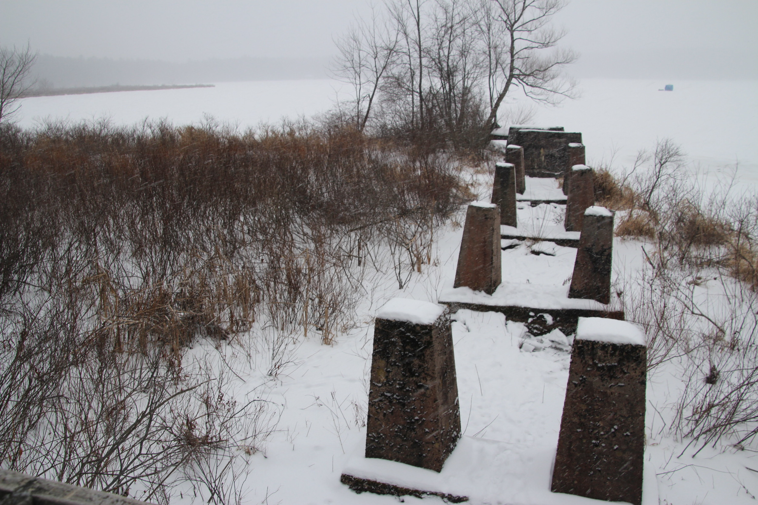 ice harvesting ecosystem