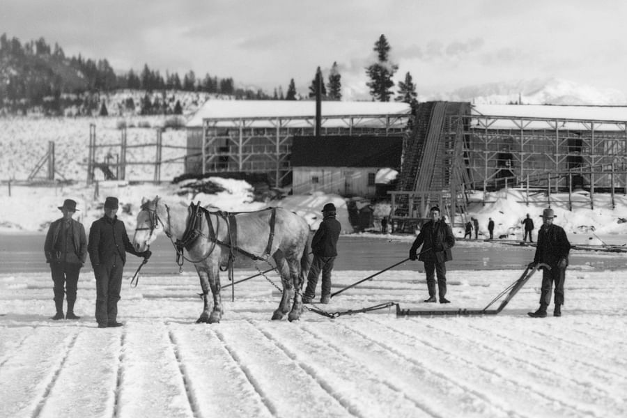 ice harvesting season