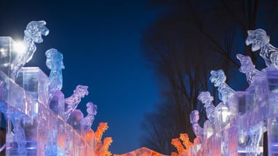 Holland vs Fairbanks: Comparing Two Major Ice Sculpture Festivals