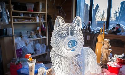 What materials are required to create a snow dog sculpture?